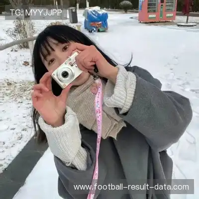 何鹰辉